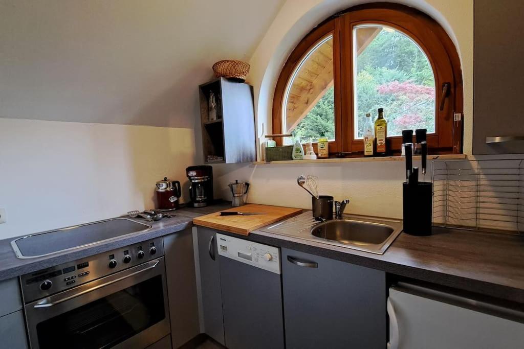 Gemuetliche Waldrandlage In Badenweiler Sehringen Ferienwohnung Exterior foto