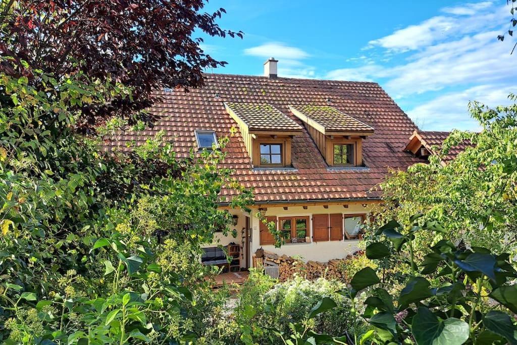 Gemuetliche Waldrandlage In Badenweiler Sehringen Ferienwohnung Exterior foto