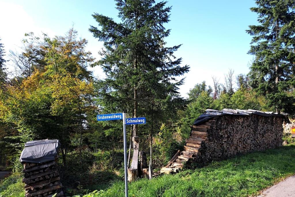 Gemuetliche Waldrandlage In Badenweiler Sehringen Ferienwohnung Exterior foto