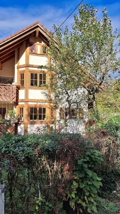 Gemuetliche Waldrandlage In Badenweiler Sehringen Ferienwohnung Exterior foto